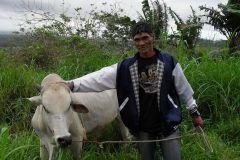 Cattle Raising Project