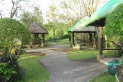 Gazebos and Garden