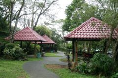 Gazebos and Garden