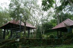 Gazebos and Garden