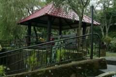 Gazebos and Garden