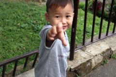 Various photos of children