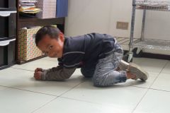 Various photos of children