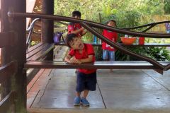 Various photos of children