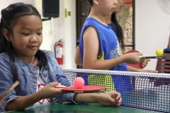 World Table Tennis For All Day 2019